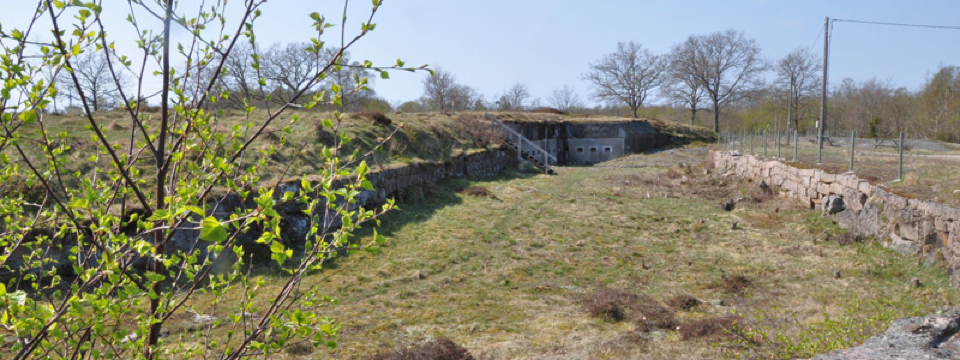 Vargront_vid_Skansen